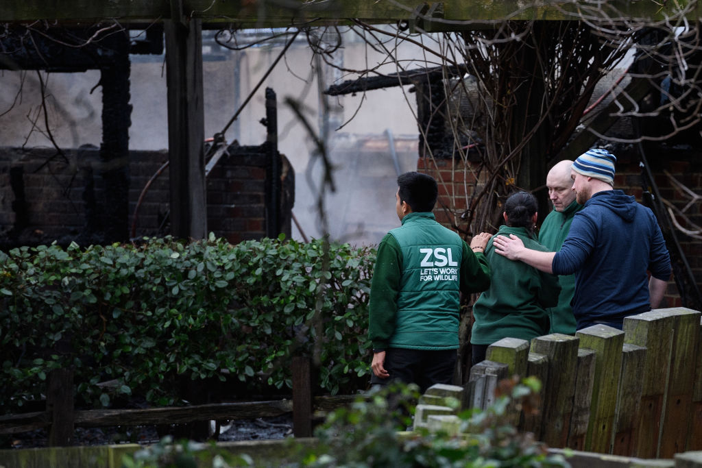 Staff members console each other after the fire destroyed a number of buildings at London Zoo....