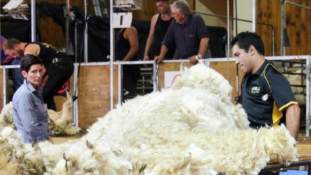 World champion woolhandler Joel Henare wins his 9th New Zealand Woolhandler of the Year title at...