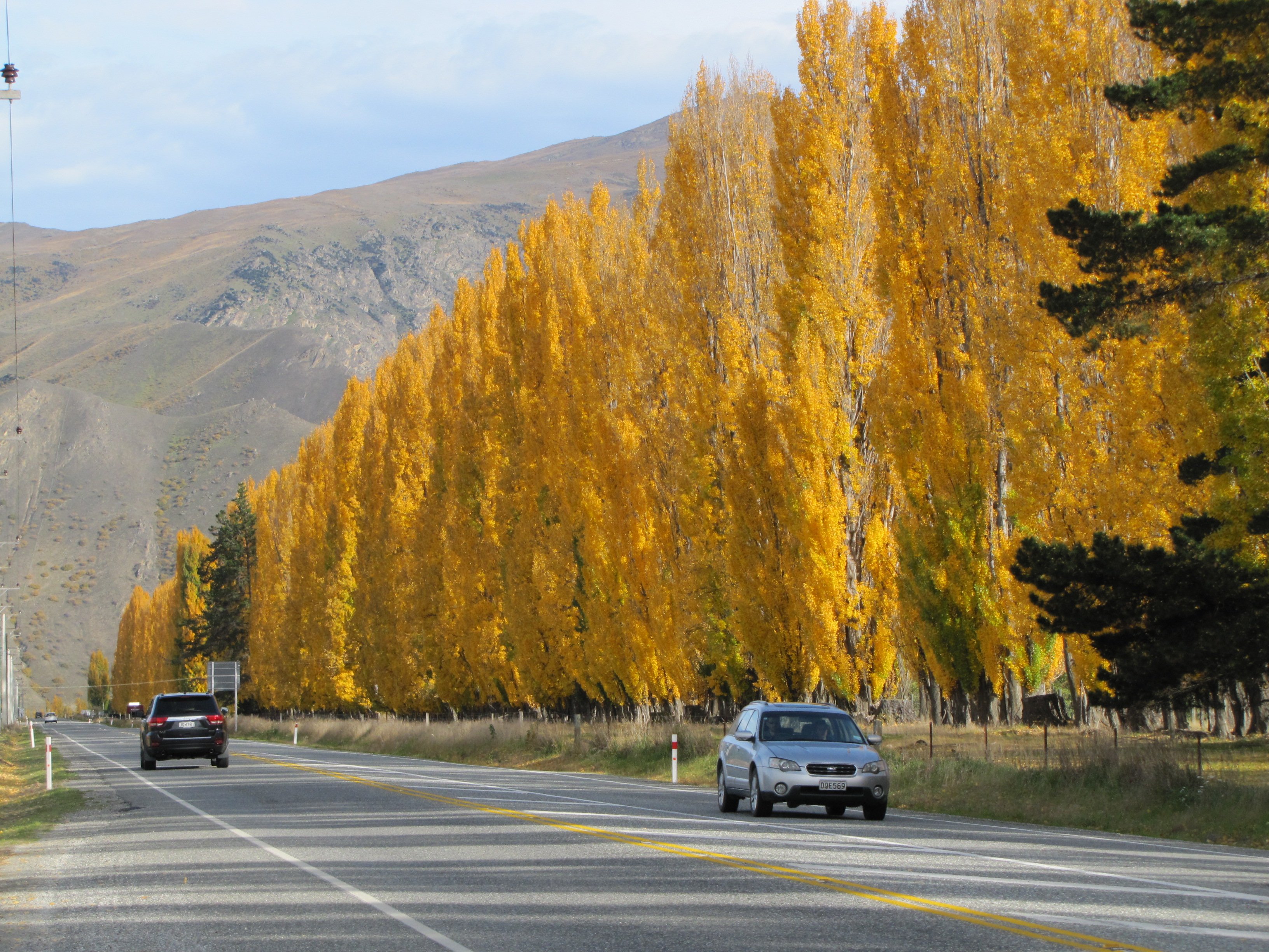 Autumn poplars overlook the Ripponvale straight near the Highlands corner. The ORC is proposing...