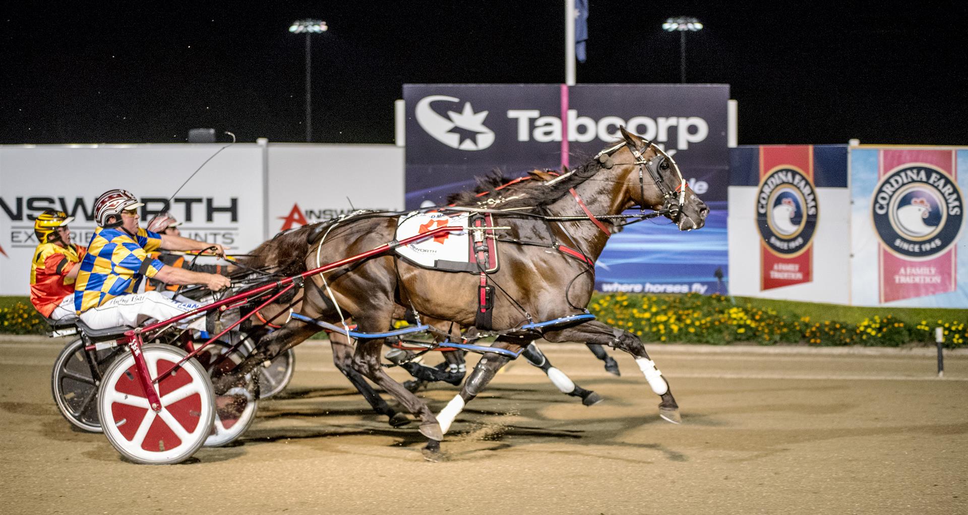 Field Marshal and Anthony Butt (outer) beat Jilliby King Fu (inner) and Soho Tribeca (middle) to win the Miracle Mile in Sydney on Saturday night. Photo: Ashlea Brennan