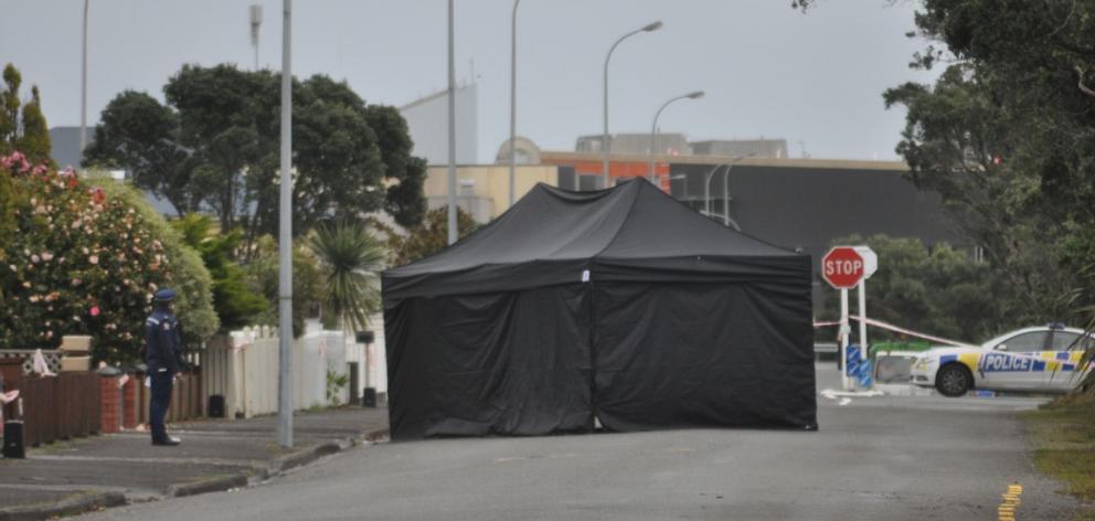 Cyrus Alexis Alupis was found lying on the road with stab wounds in Cowper St in June. Photo:...