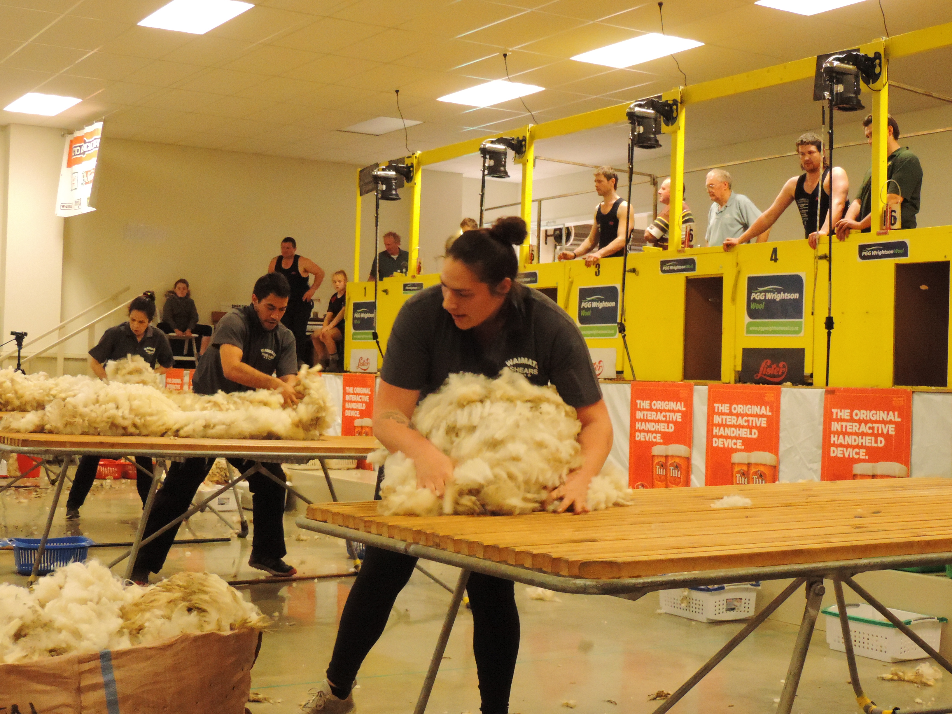 Kiwis Win Blade Shearing Woolhandling Otago Daily Times Online News