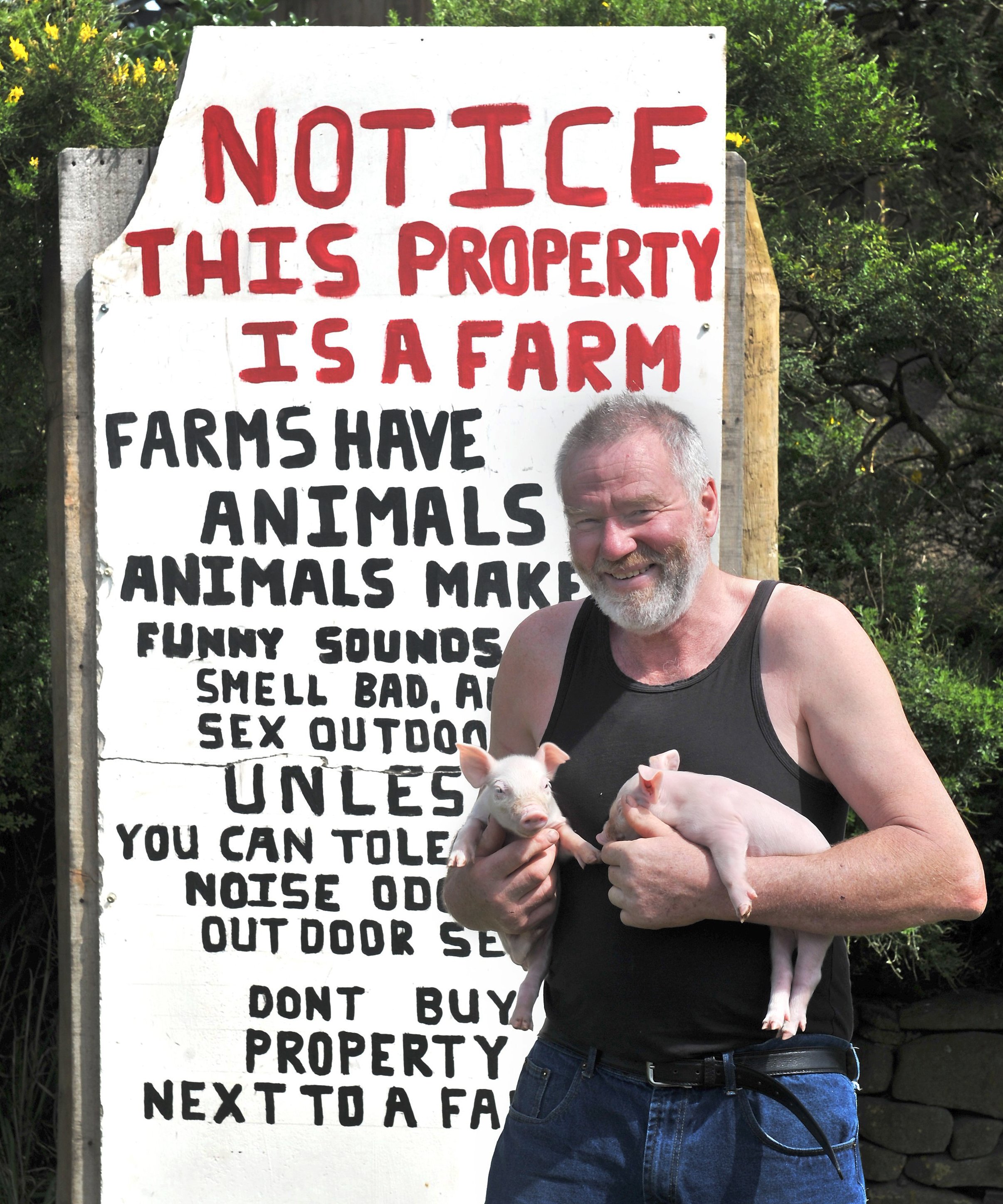 Pig farmer Pieter Bloem installs an educational sign outside his Otago Peninsula property. PHOTO:...