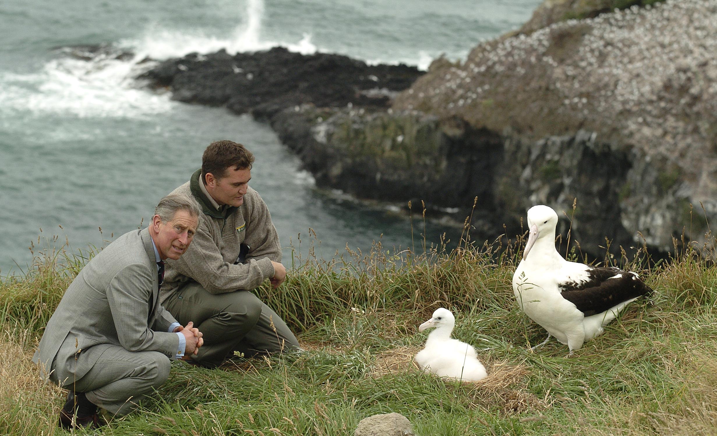 Prince Charles (left) and then head ranger Lyndon Perriman pictured with a nesting northern royal albatross at Taiaroa Head in 2005. Photo: Craig Baxter