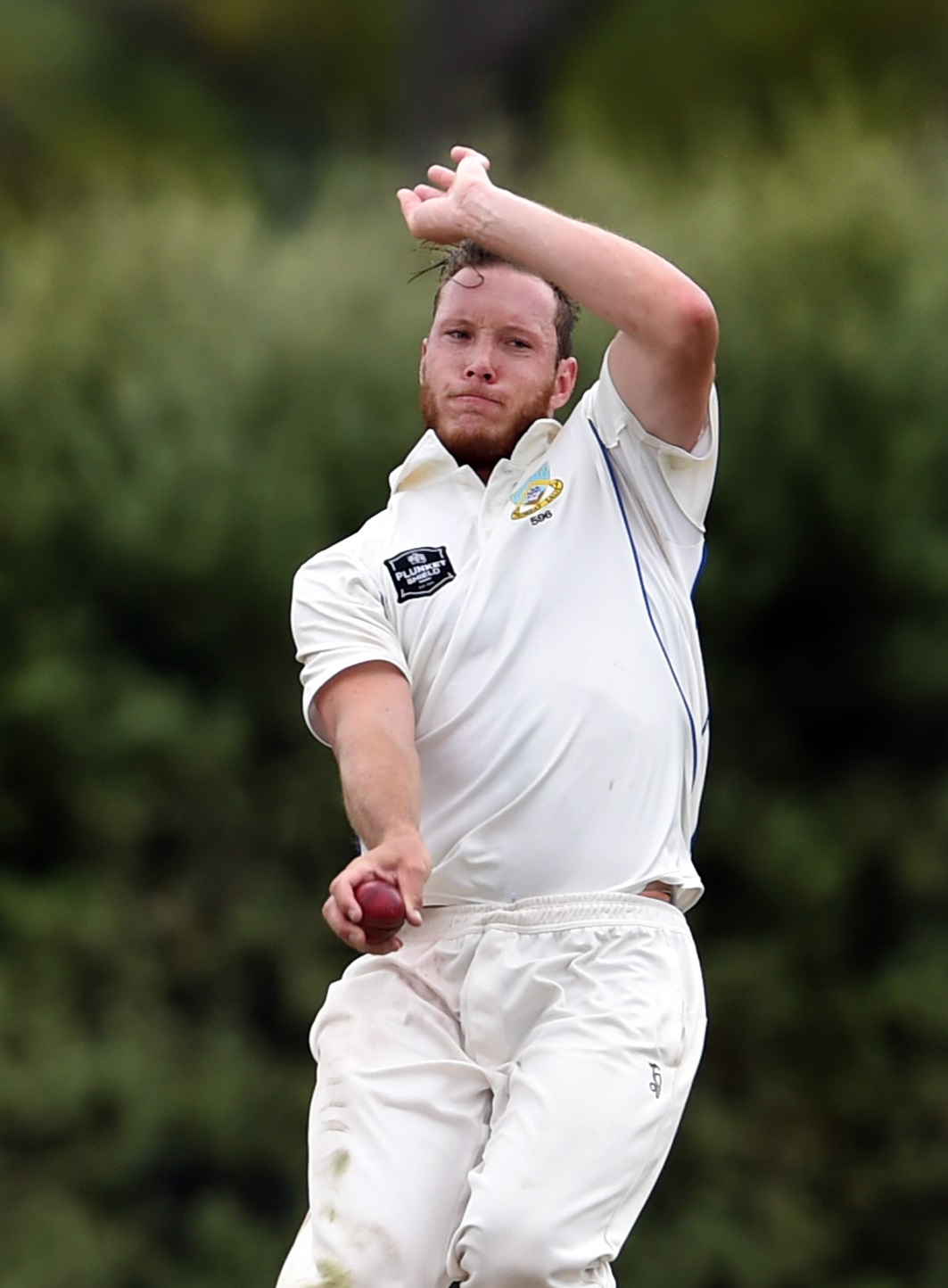 Bacon Produces Sizzling Form As Volts Dispatch Firebirds Otago Daily Times Online News