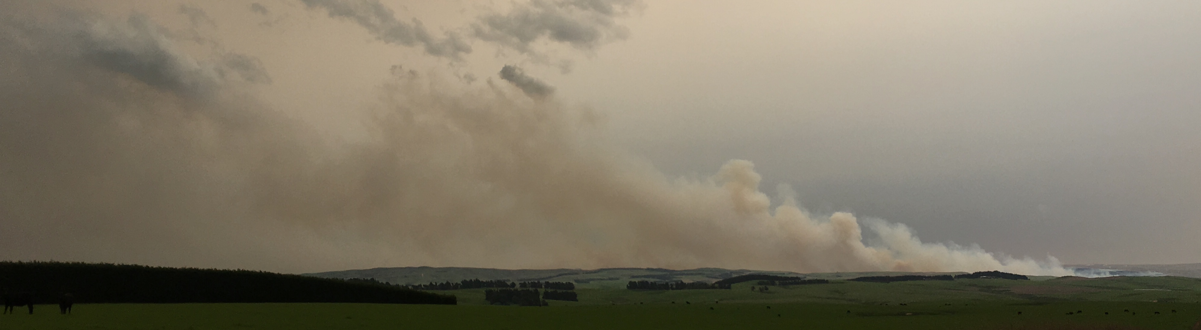 The fire began about 11am and has burned through about 400ha of remote tussock and scrub. Photo:...