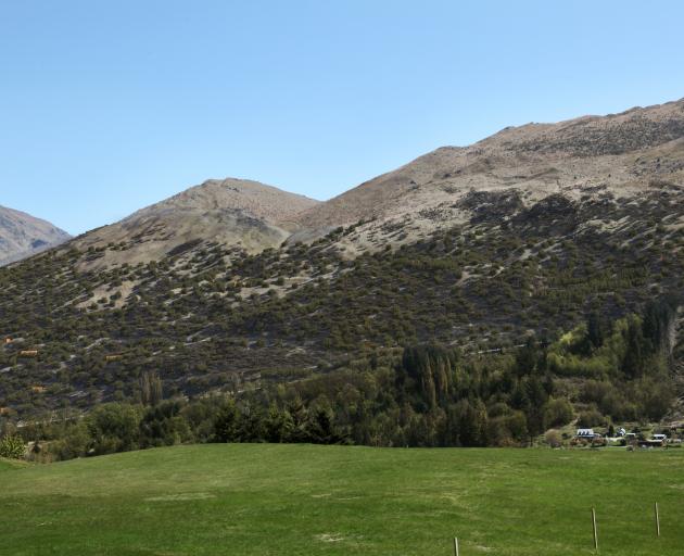 A simulation of how the lower slopes of Mt Dewar would look from North Ridge after 10 years, the...