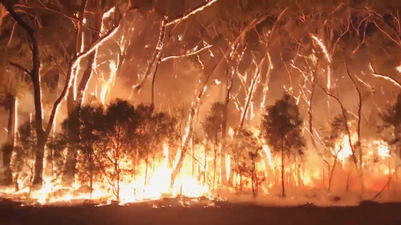 A fire blazes across bush in Newnes Plateau, New South Wales, in this grab from a social media...