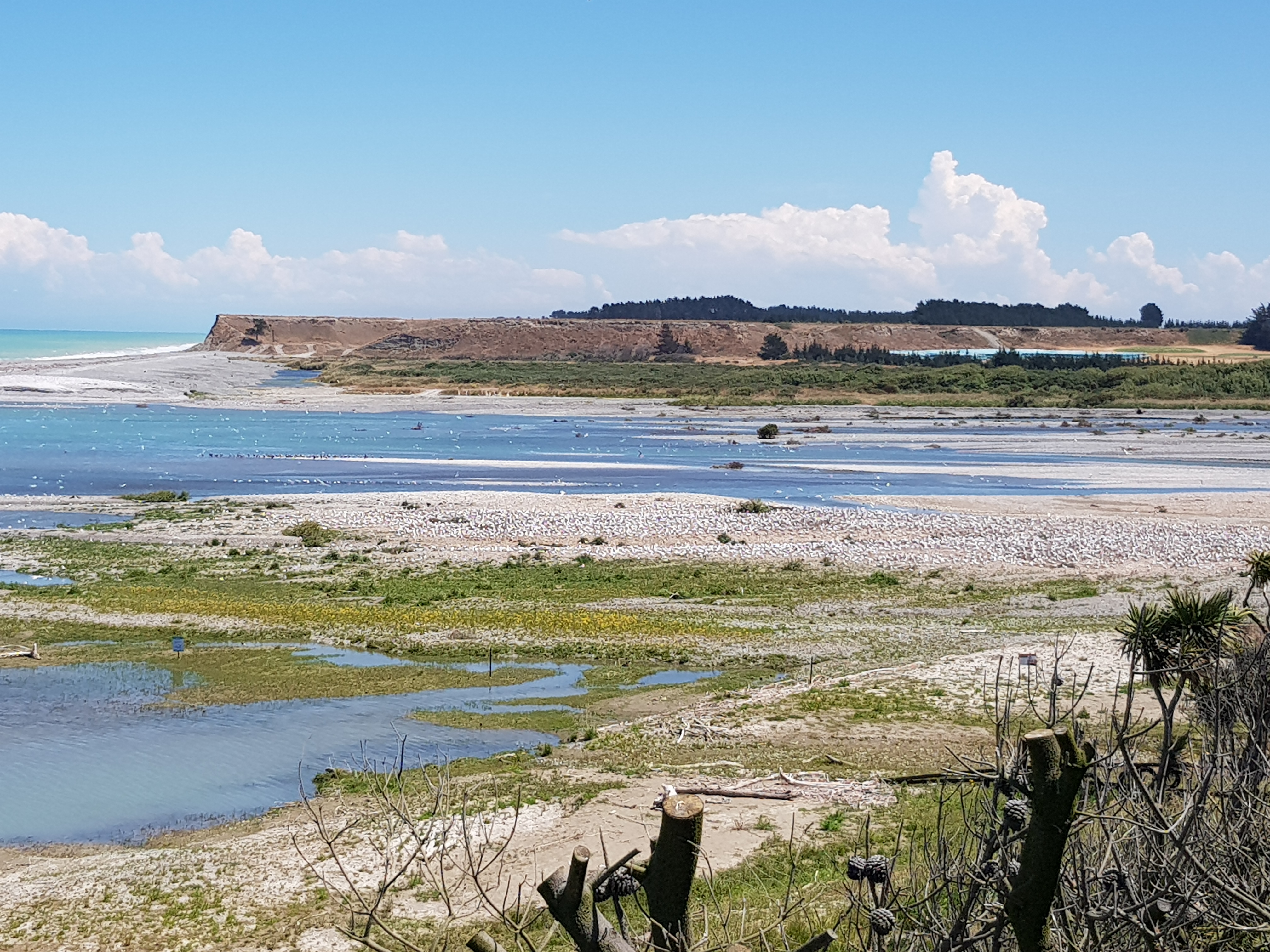 The management of the Ashburton River Mouth is a balancing act between recreational users and its...