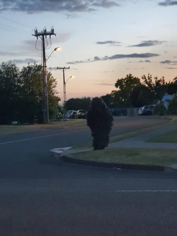 Manaia Munro, who spotted the prankster, asked them to "stop being an idiot". Photo: Supplied