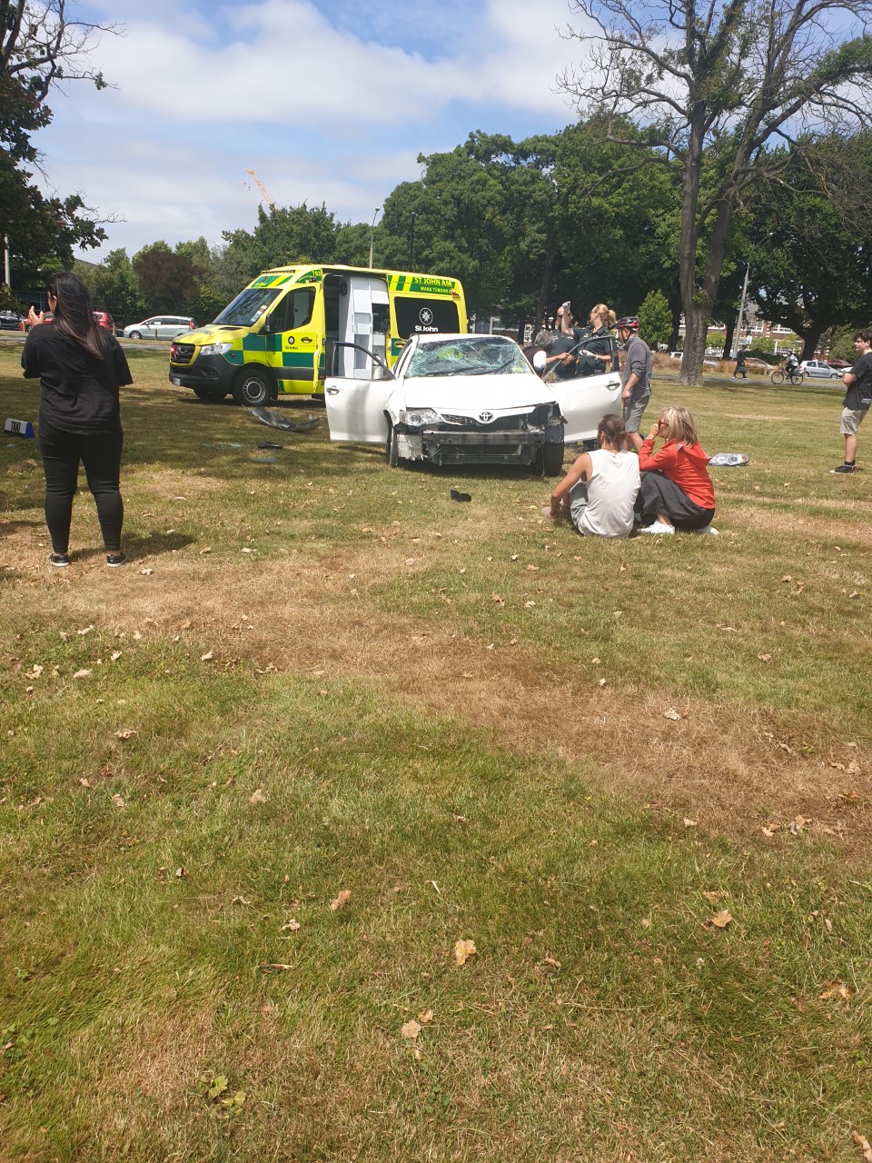 The car came to a stop in Hagley Park. Photo: Supplied