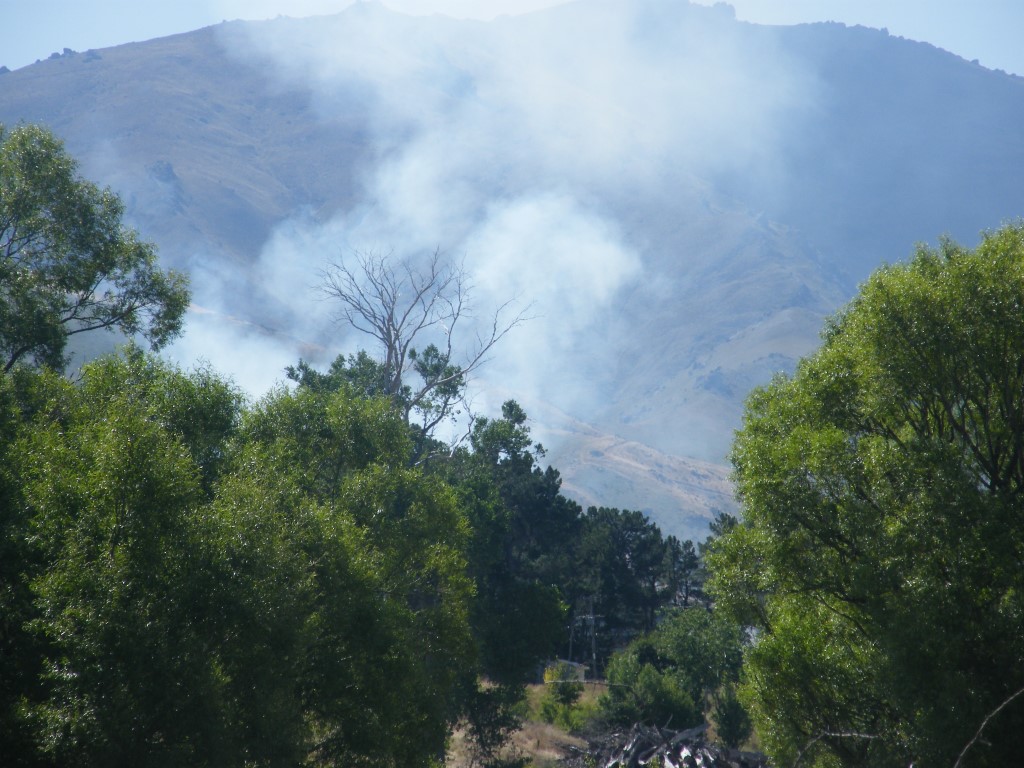 Smoke rises from the fire near Alexandra. Photo: Adam Burns