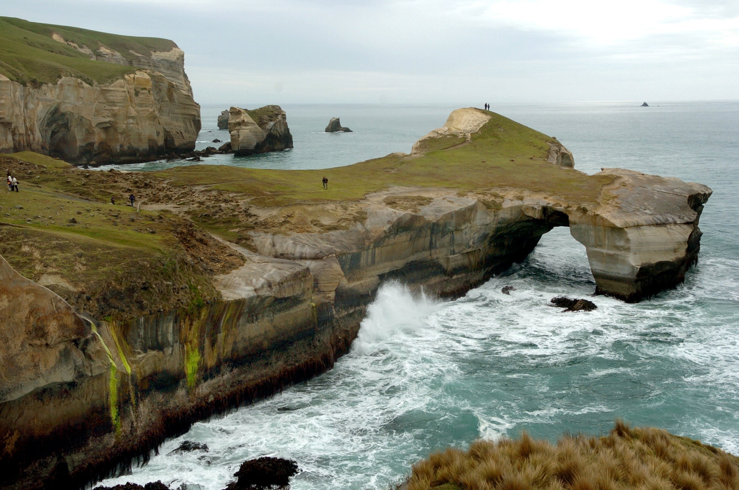 New Zealand Tourists spot