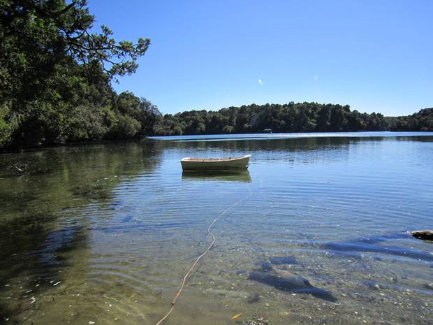 Coastal waters near the small cottage on Stewart Island. Photo: Supplied