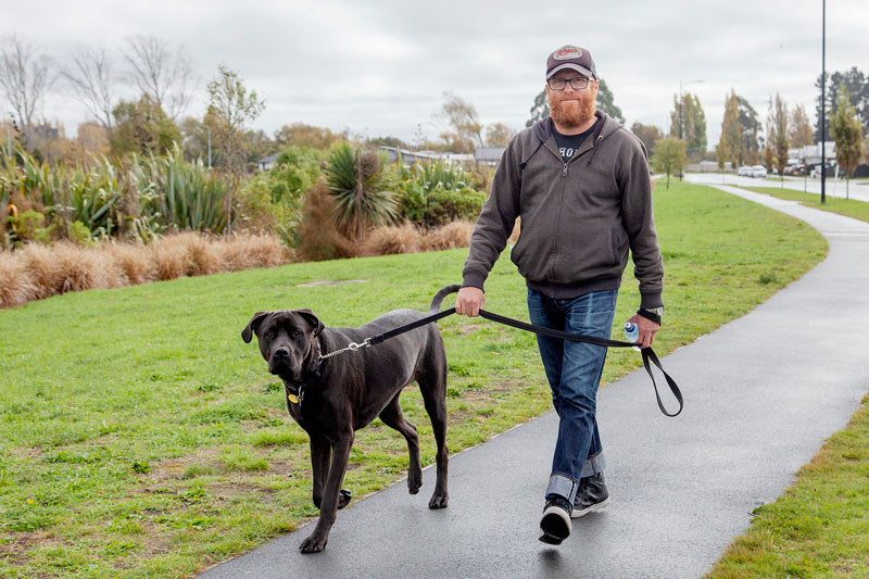 Walking the dog on Te Korari St, Marshland.