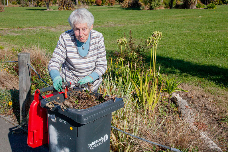 Avondale Rd resident Ngaire Garrick is using her spare time to voluntarily clean up and keep...