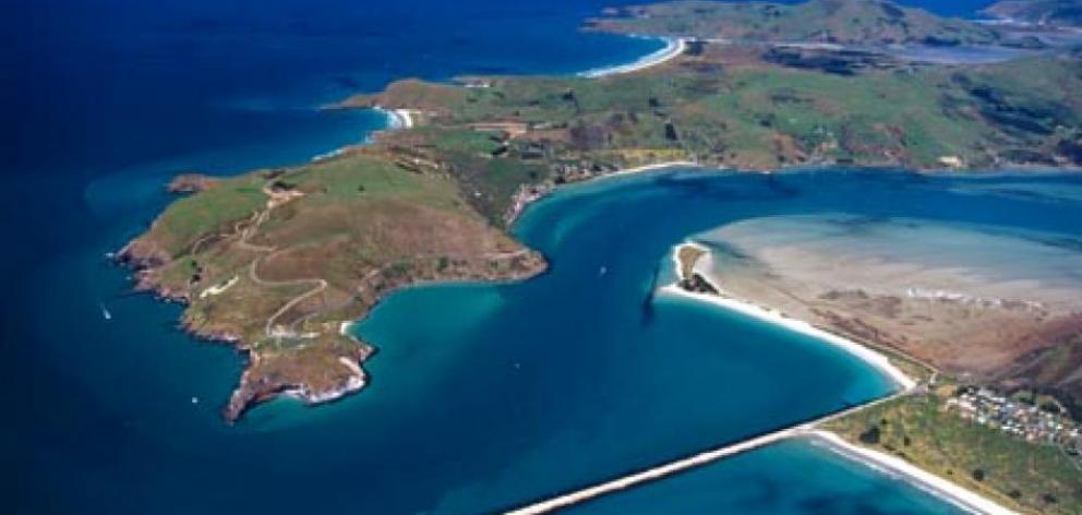 Otago Peninsula offers many attractions for people of all ages. Photo: ODT files 