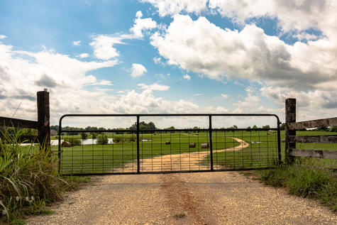 Thefts of farm gates and fencing in the Selwyn district are on the rise with seven incidents over...