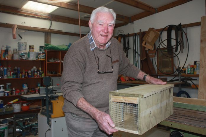 Hampden resident Peter Whitehead kept himself busy during lockdown by making predator traps for...