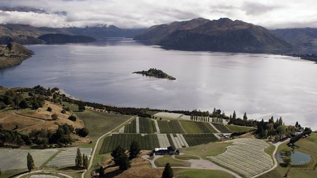 Rippon vineyard on the shores of Lake Wanaka. Photo: NZ Herald/File