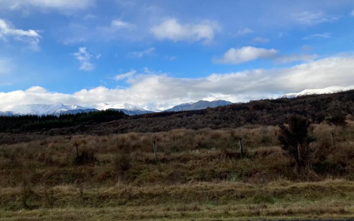 Cleared land in Te Anau belonging to Peter Chartres. Photo: Supplied