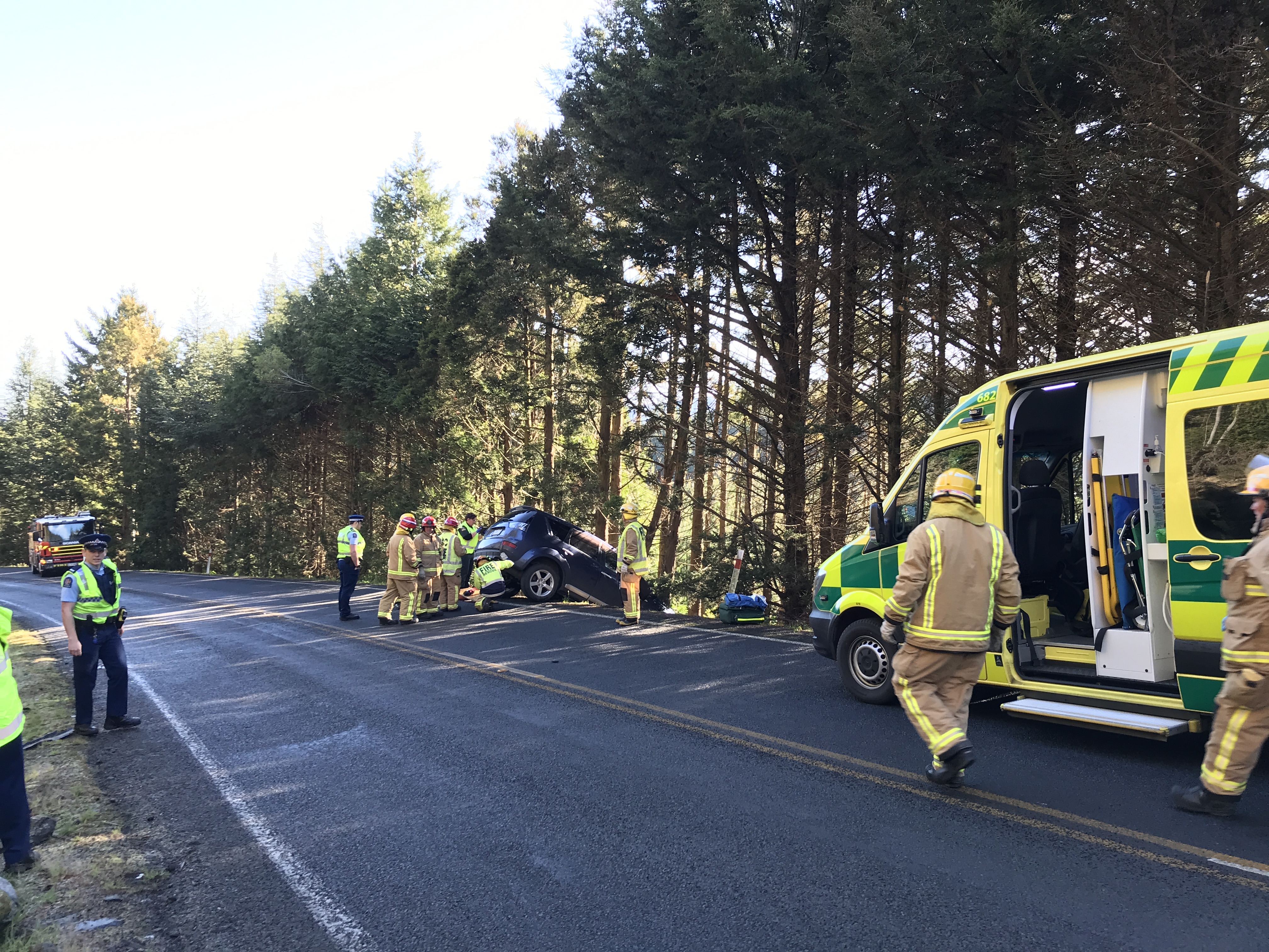 Emergency services at the scene today. The driver of an SUV was taken to Dunedin Hospital. Photo:...