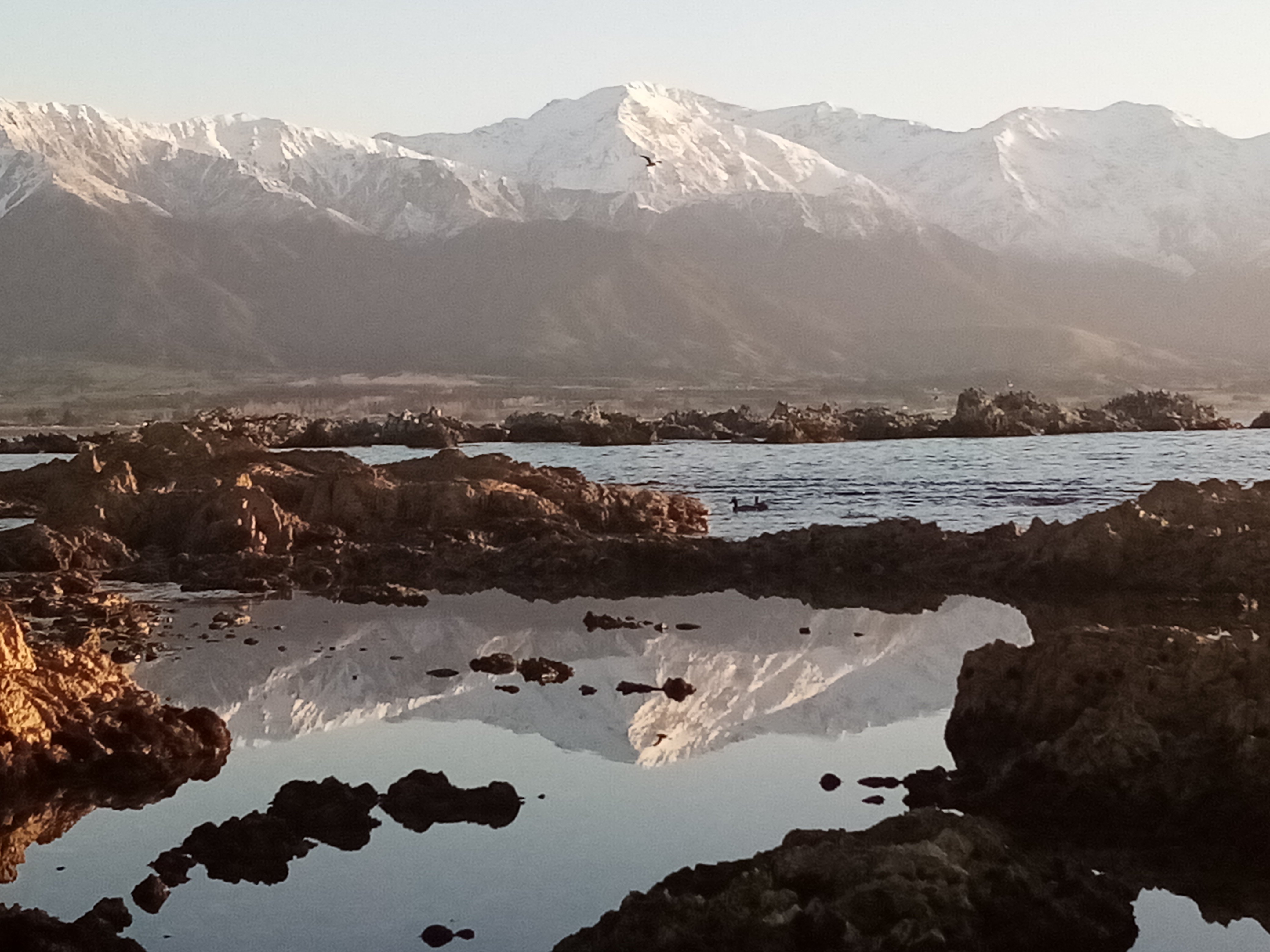 The Kaikoura Ranges are reflected  in a pool of water near the seal colony.  PHOTOS: SUE NOBLE-ADAMS