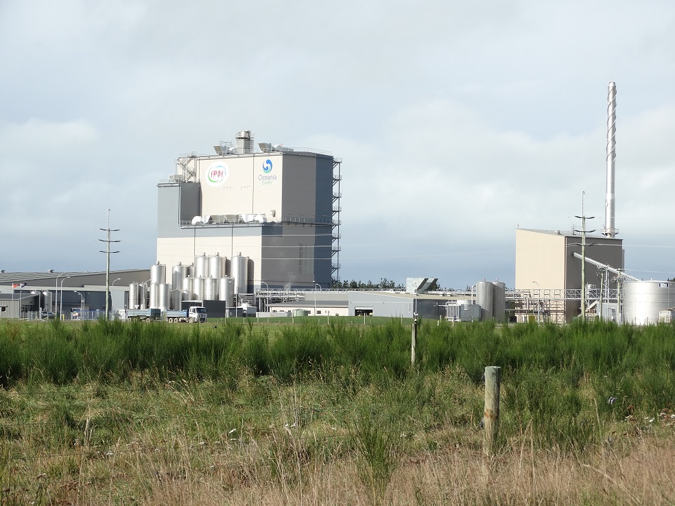 Oceania Dairy's Glenavy plant. Photo: ODT 