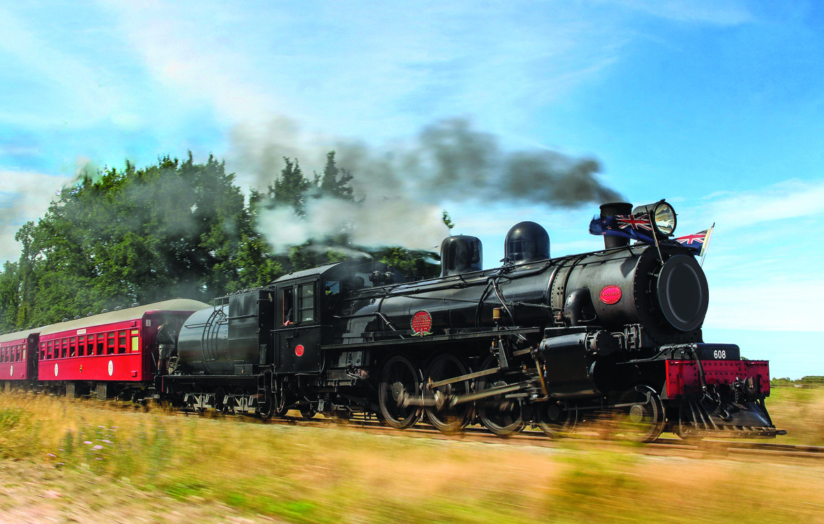 New steam train фото 11