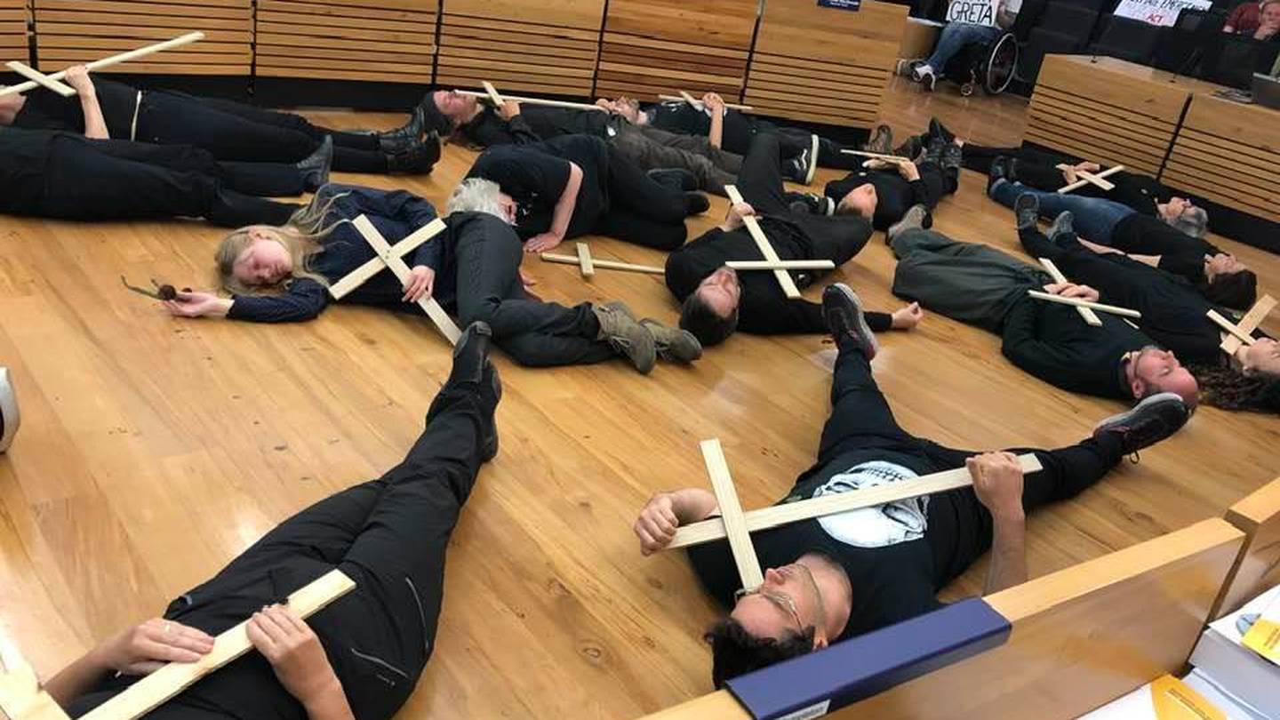 The protesters at the Christchurch City Council meeting. Photo: Pauline Cotter