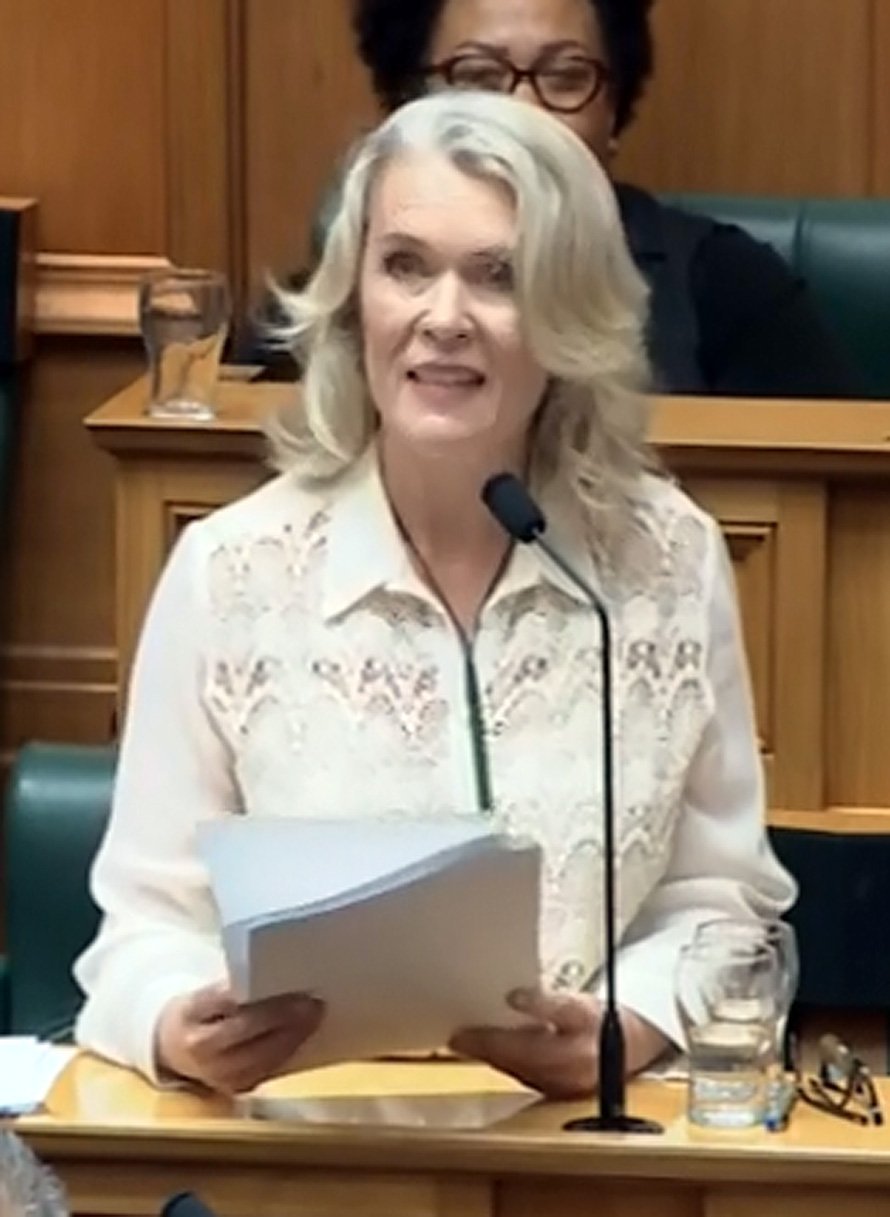 Ingrid Leary delivers her maiden speech in Parliament earlier this week. PHOTOS: PARLIAMENT TV