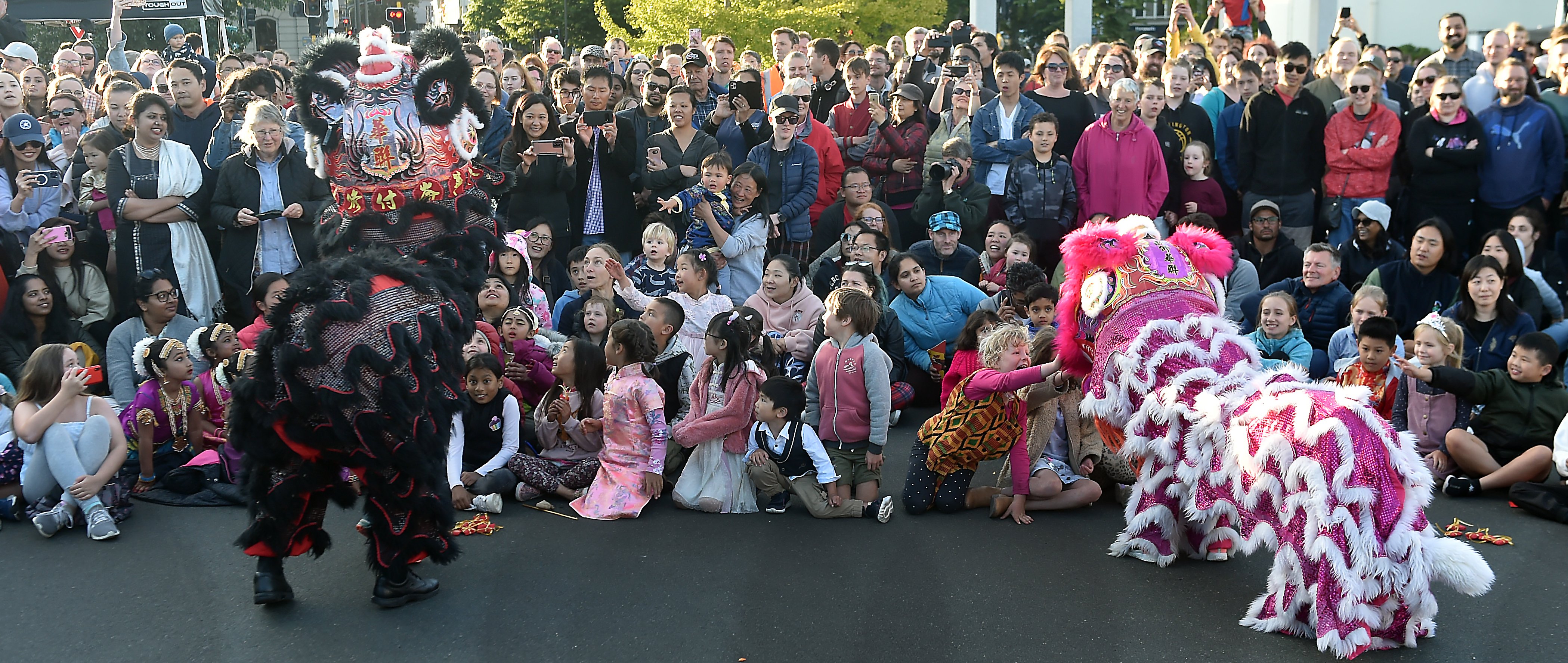 Excited youngsters reach out to lions at the start of a lion dance at the Dunedin Chinese Garden...