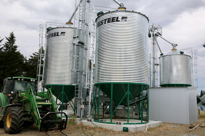 Mainland Hemp's seed drying facility Photo: RNZ / Cosmo Kentish-Barnes