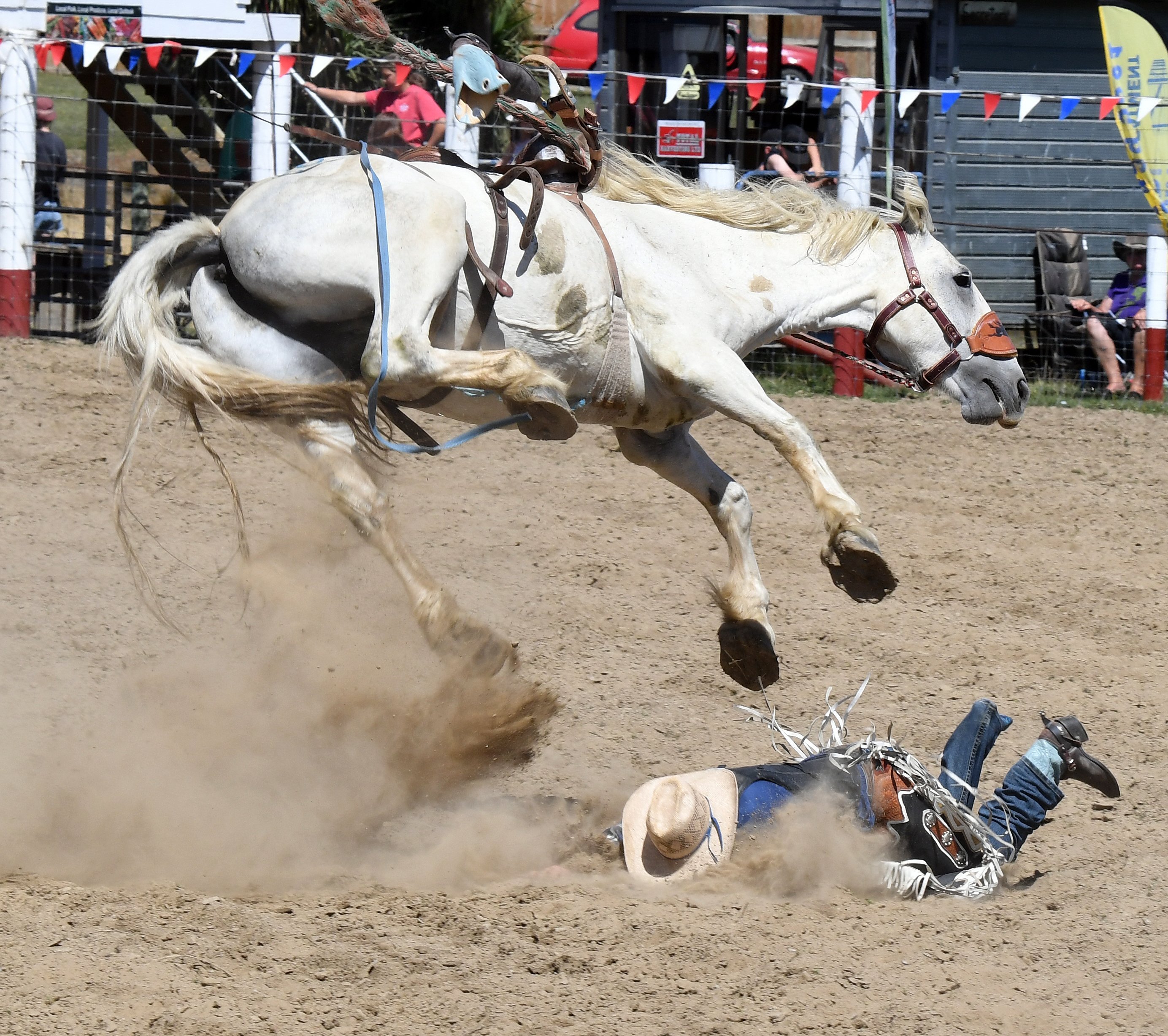 Joseph Whitelock, of Hastings, has a fall during the open saddle bronc event at the Outram Rodeo....