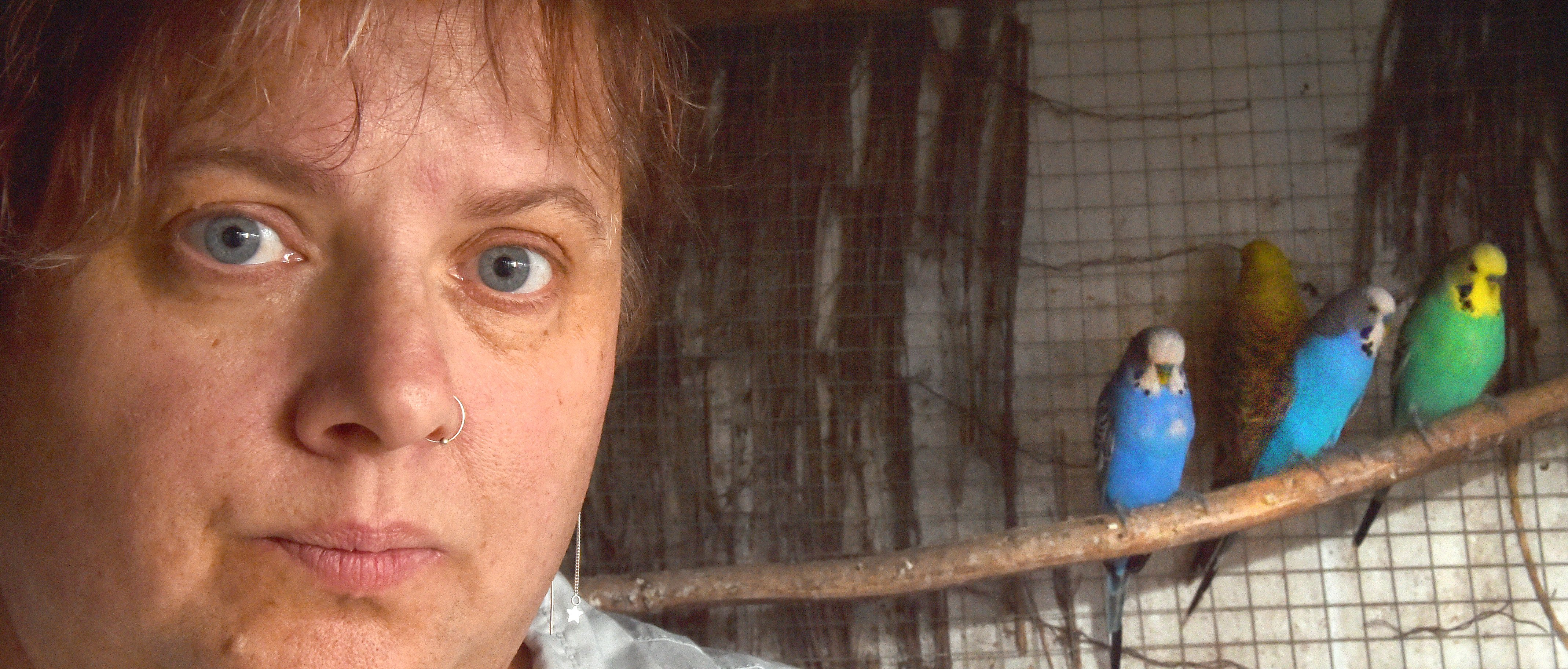 Jacqui Hellyer is devastated over the mysterious deaths of 15 of her budgies. PHOTO: GREGOR...