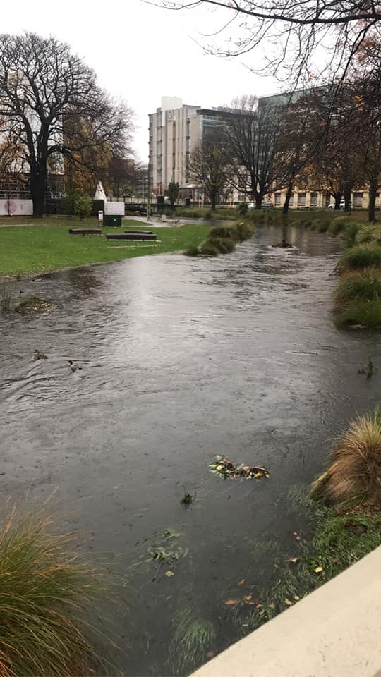 The Avon River in Christchurch on Sunday. Photo: Supplied / Debbie O'Halloran