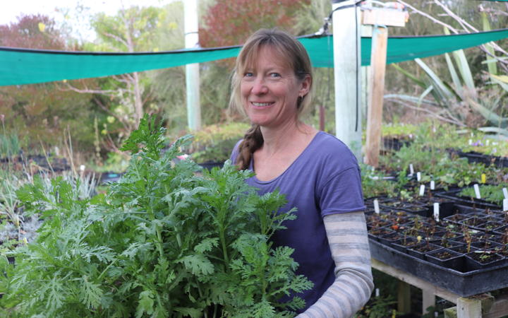 Jo Duff of Kahikatea Farm near Hastings donated some of her plants. Photo: Tom Kitchin