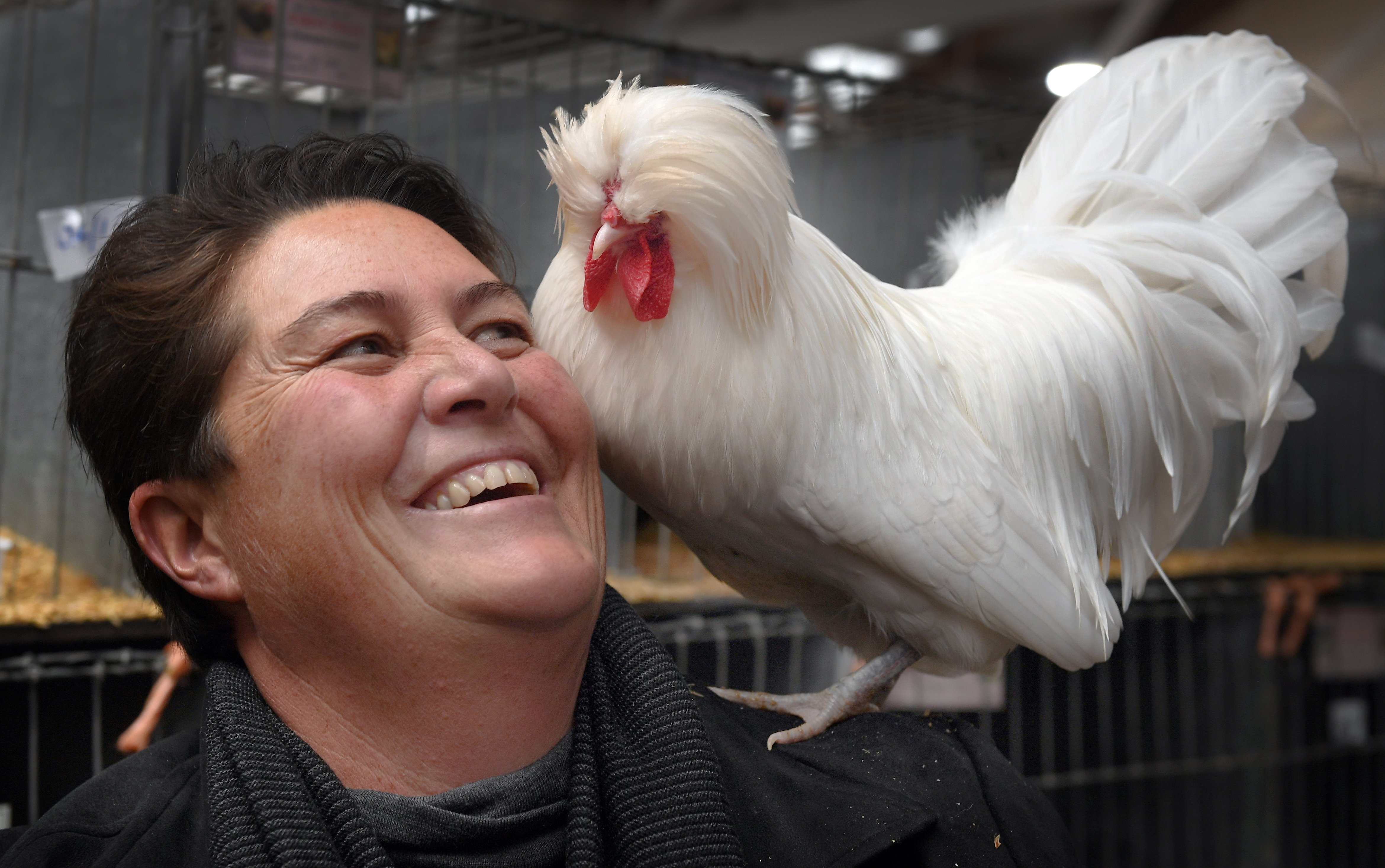 Toni Huband, of Whangarei, with her prize-winning Polish cockerel at the New Zealand Poultry,...