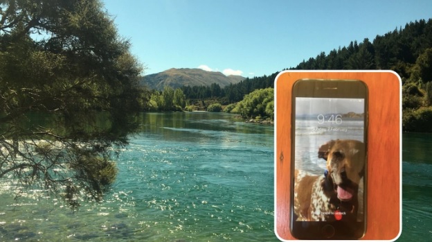 The story of a phone lost in the river, a dearly missed dog - and a whole lot of luck. Photos:...