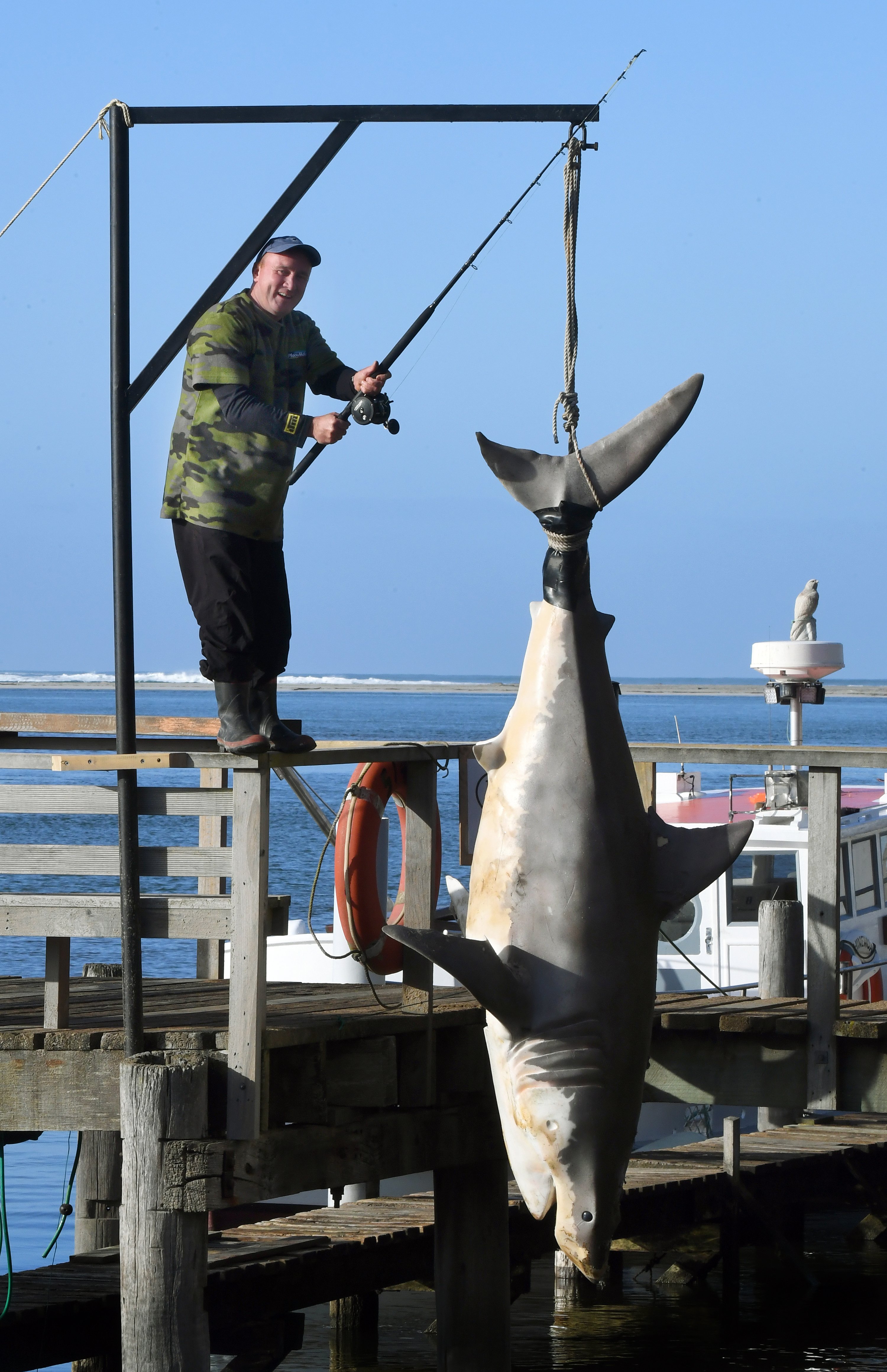 Hooked into a big shark - Picture of Reel Therapy Charters, Big