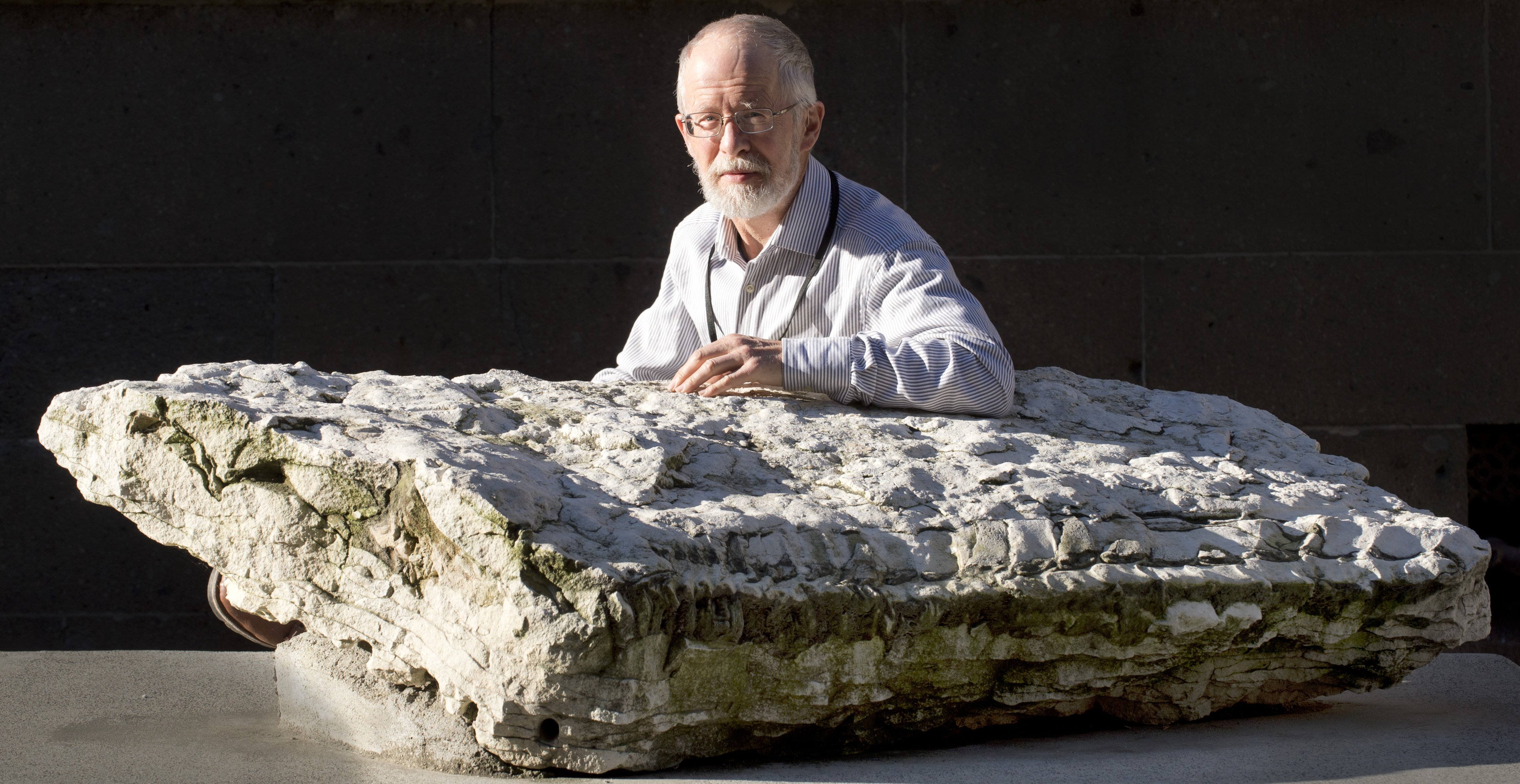 Resting on a slab of South Otago marine limestone encasing approximately 25-million-year-old...