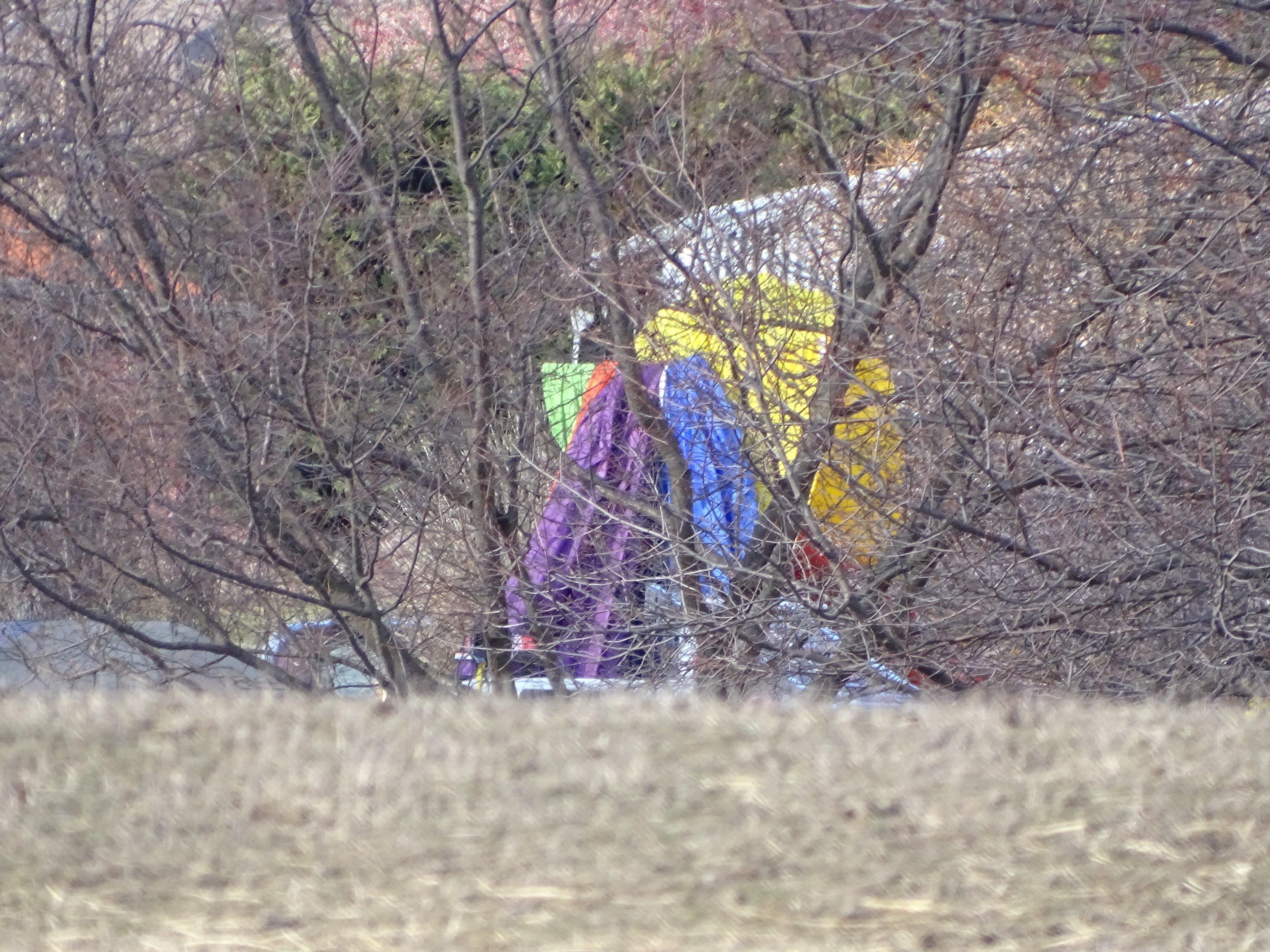  The hot-air balloon ended up among trees after a crash landing yesterday on a private property...