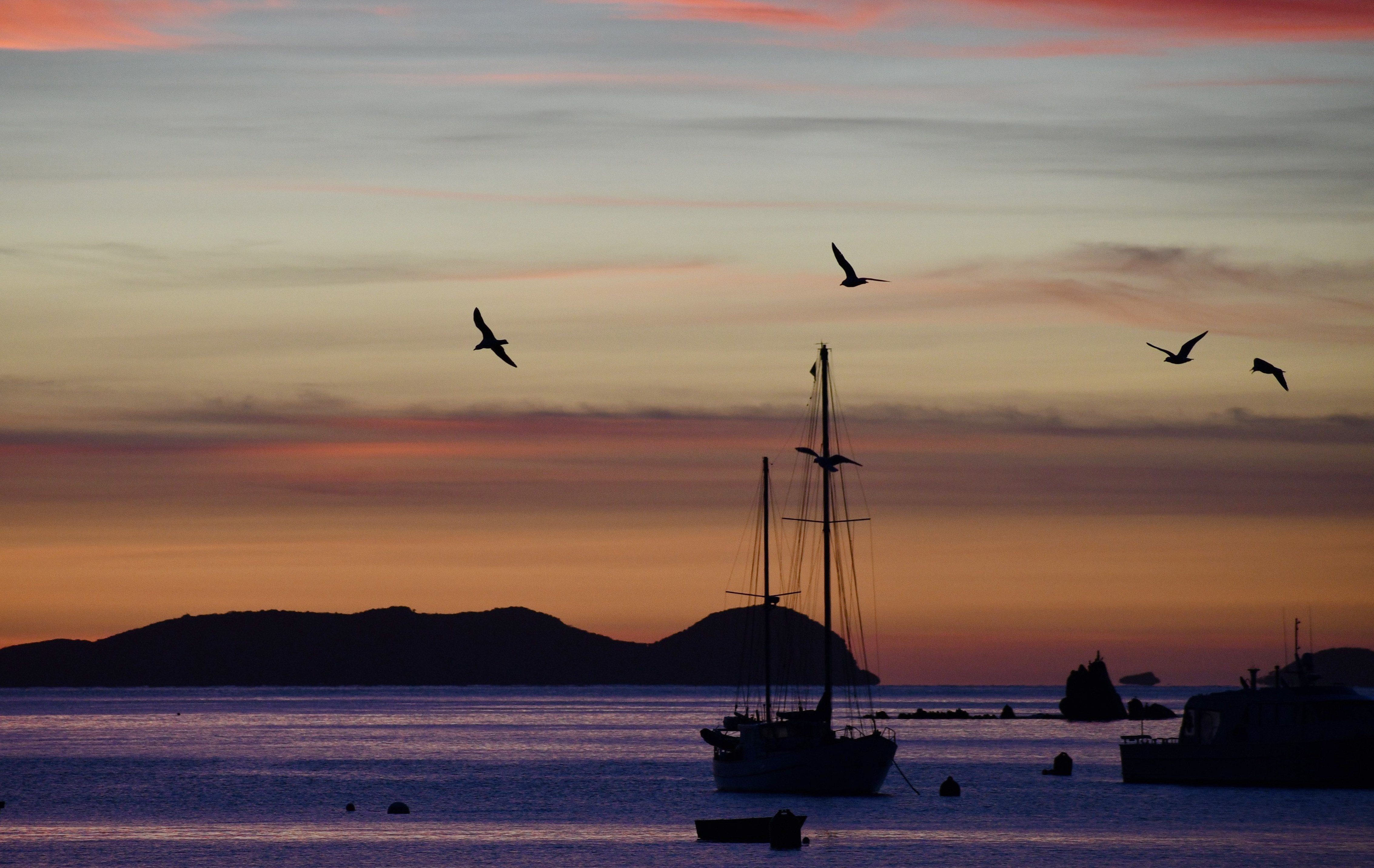 Stewart Island is home to a variety of birdlife.