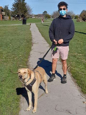 Ronald and Dumpling go for a stroll in Avonhead Park. Photo: Fiona Ellis