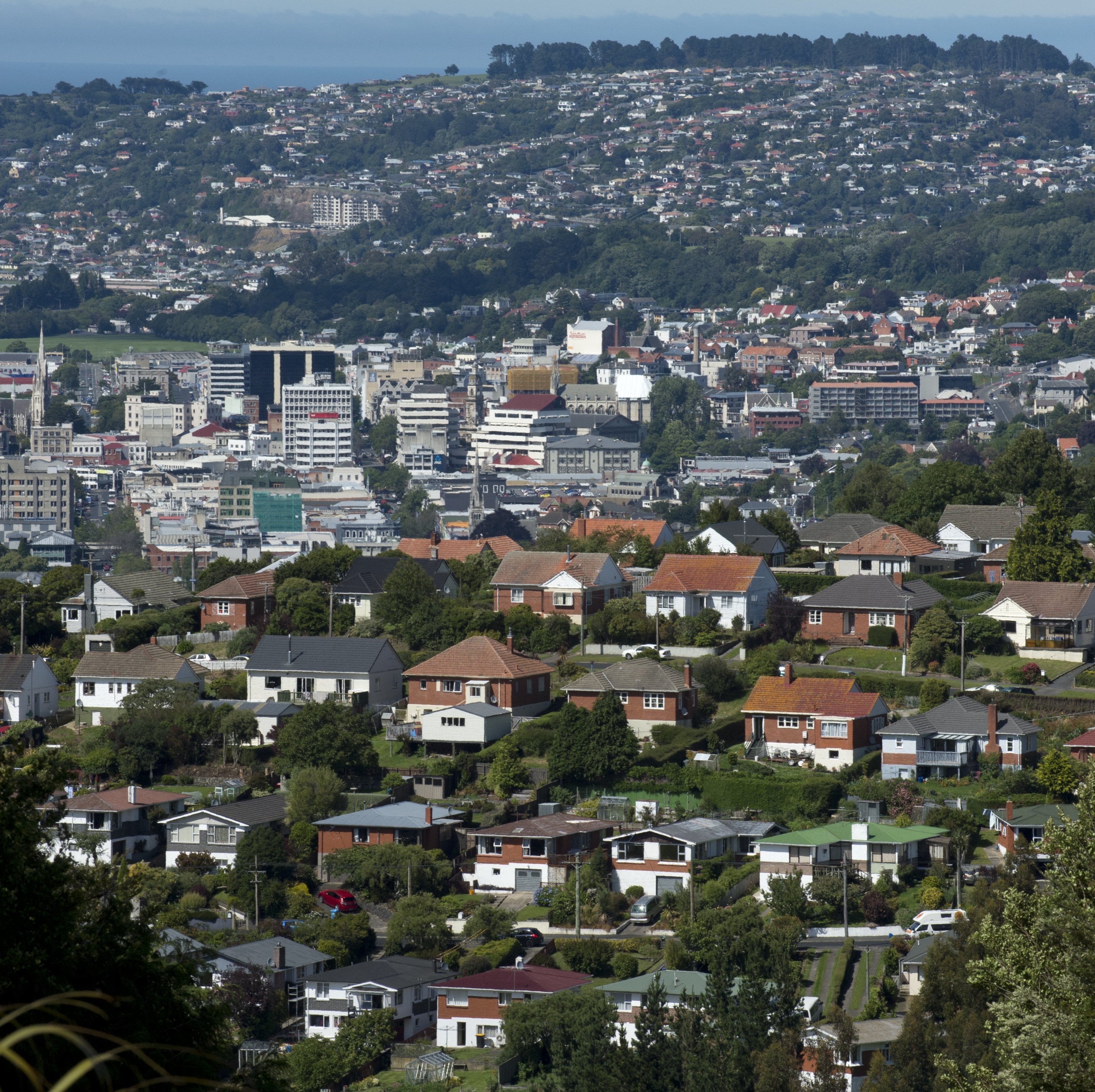 People being at home on devices could be responsible for a surge in interest in Otago property...