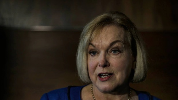 National leader Judith Collins. Photo: NZ Herald