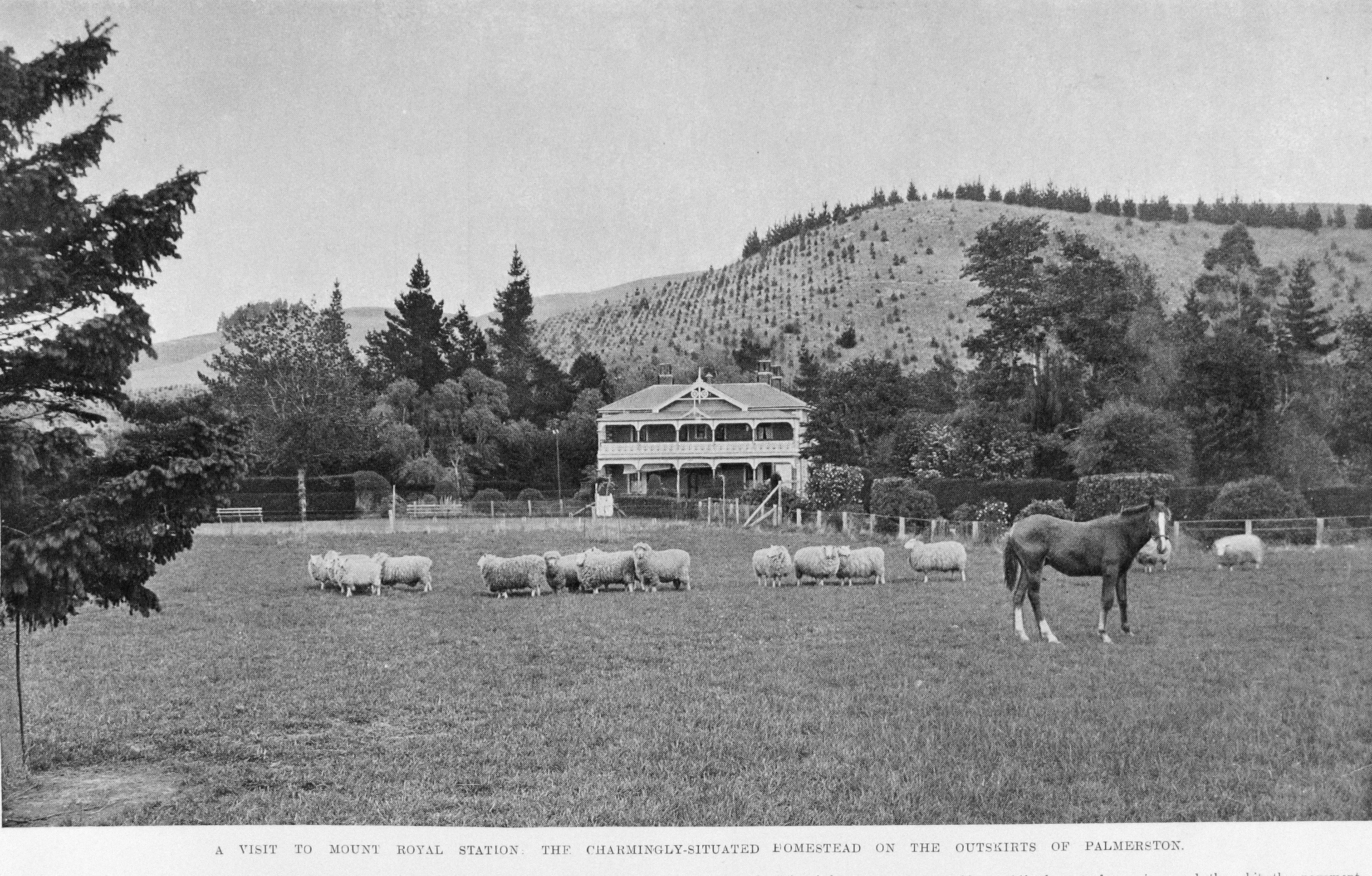 The original Mount Royal Station homestead, near Palmerston, in 1911. PHOTO: OTAGO WITNESS