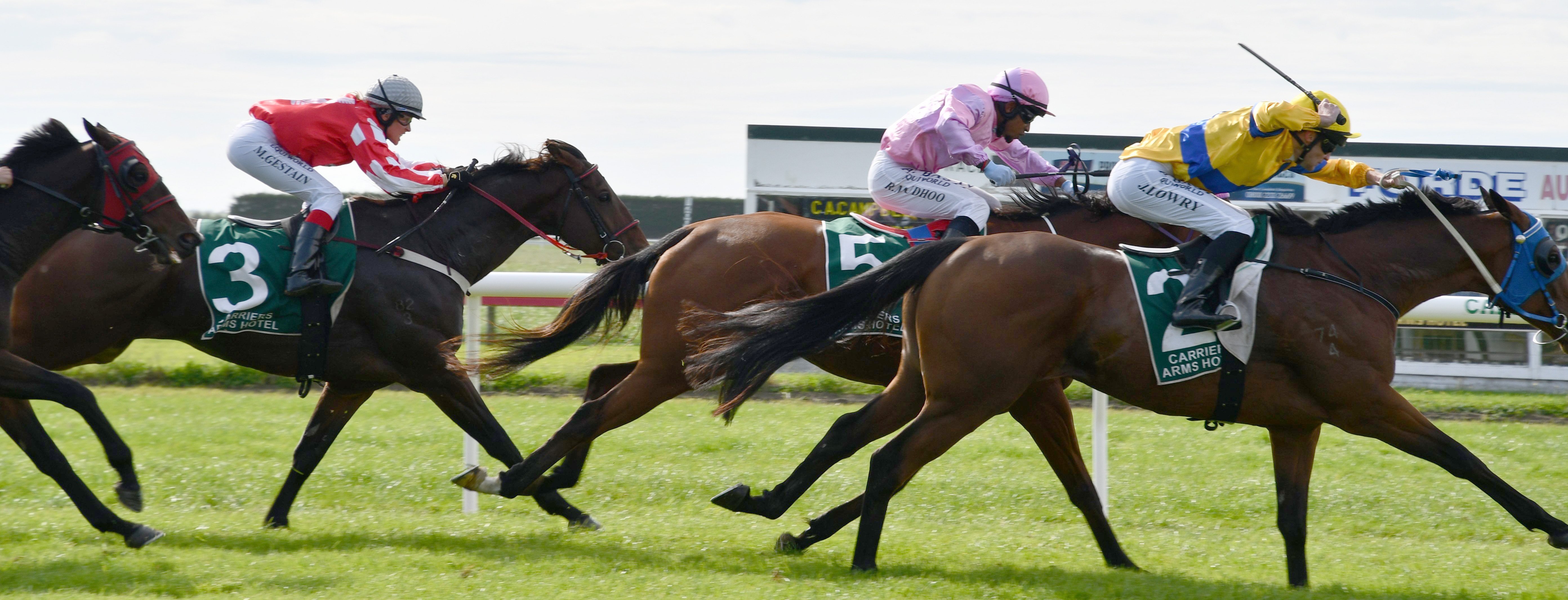 Horses surge towards the finish line.