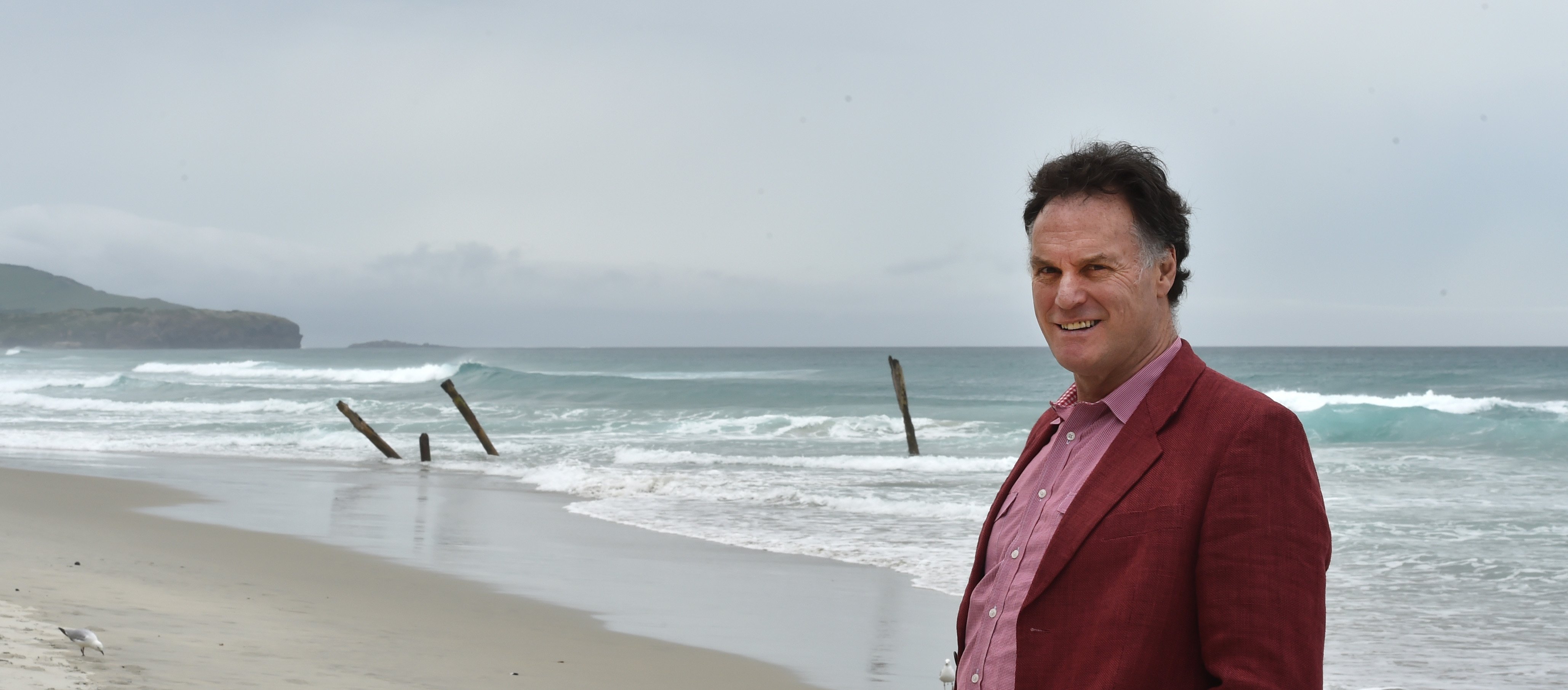 Pushing for the line of poles at St Clair Beach to be restored, to build up sand on the beach, is...