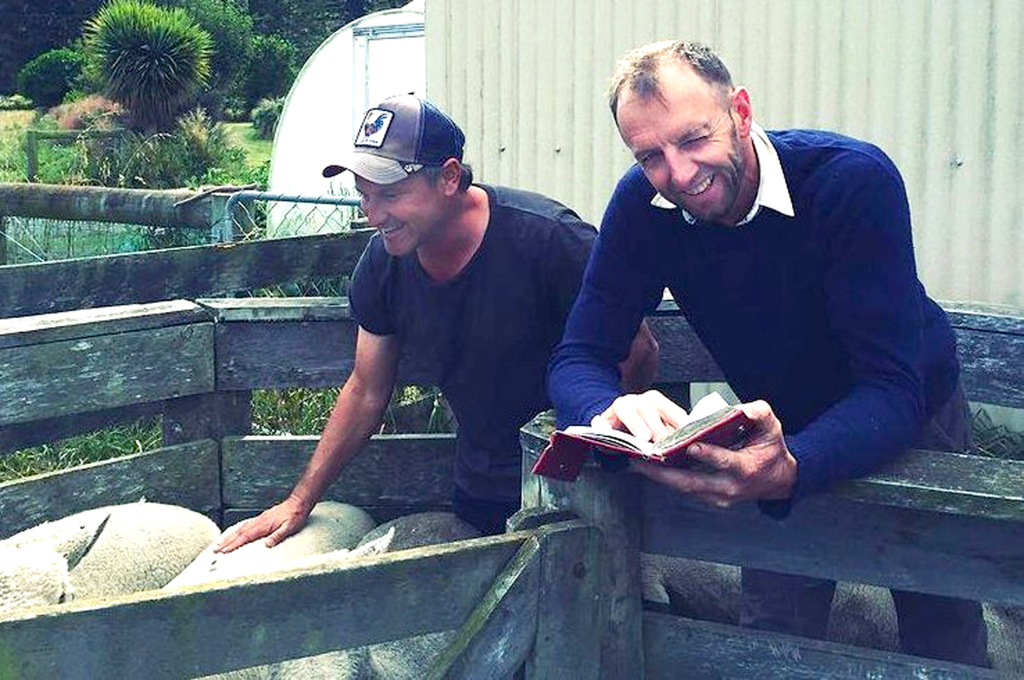 Southdown breeders Matt Chisholm (left) and Dave Robertson inspect some sheep at Mr Robertson’s...